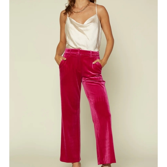 Skies Are Blue Pants - Skies Are Blue Velvet Wide Leg Pants HOST PICK!!!